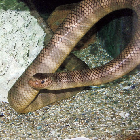 地名ケンミン性の秘密 沖縄は オキ 沖 ナバ 漁場 など海の言葉でいっぱい 47都道府県 地名の謎 Best Times ベストタイムズ