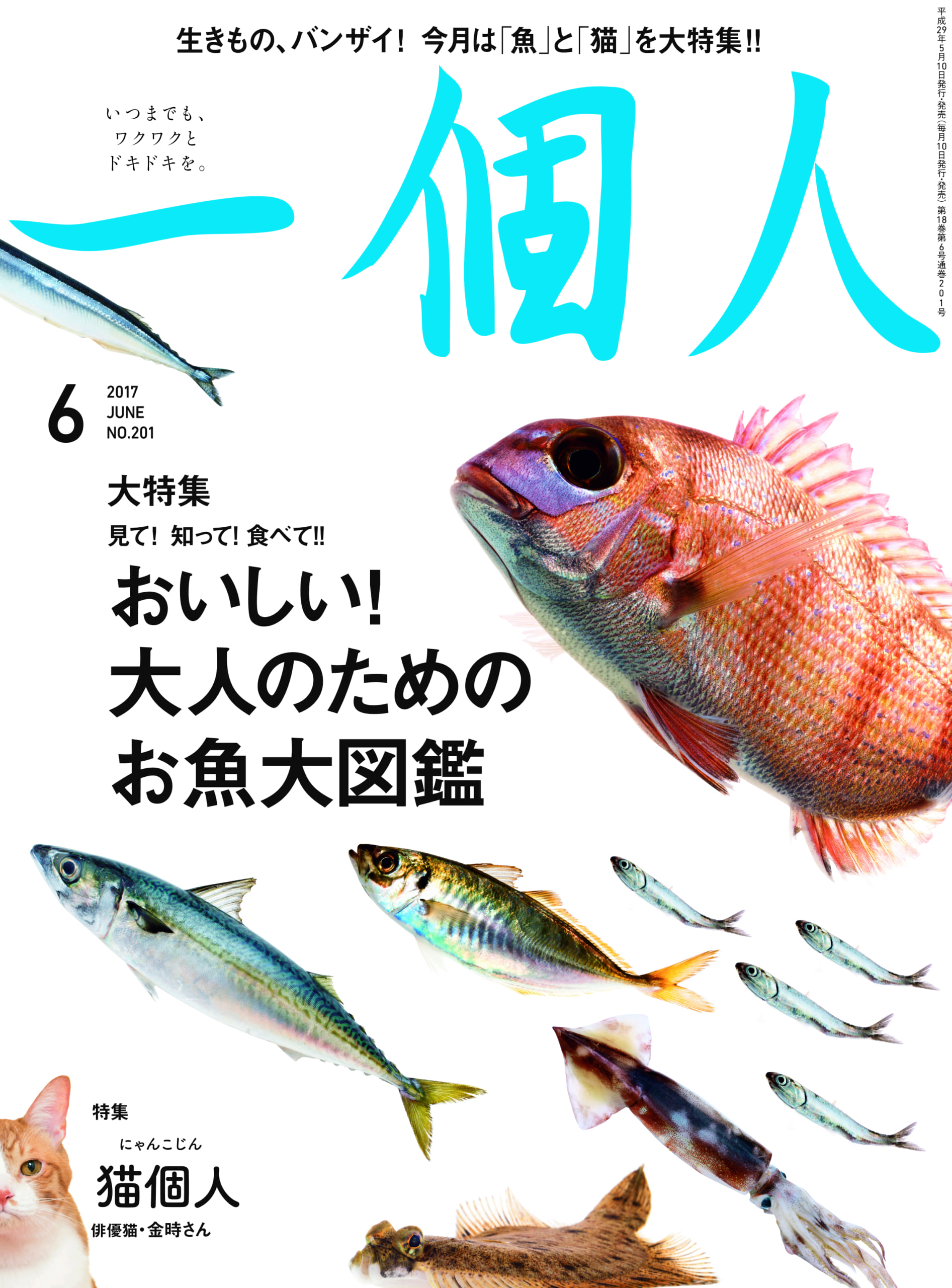 大人のためのお魚図鑑 Kkベストセラーズ