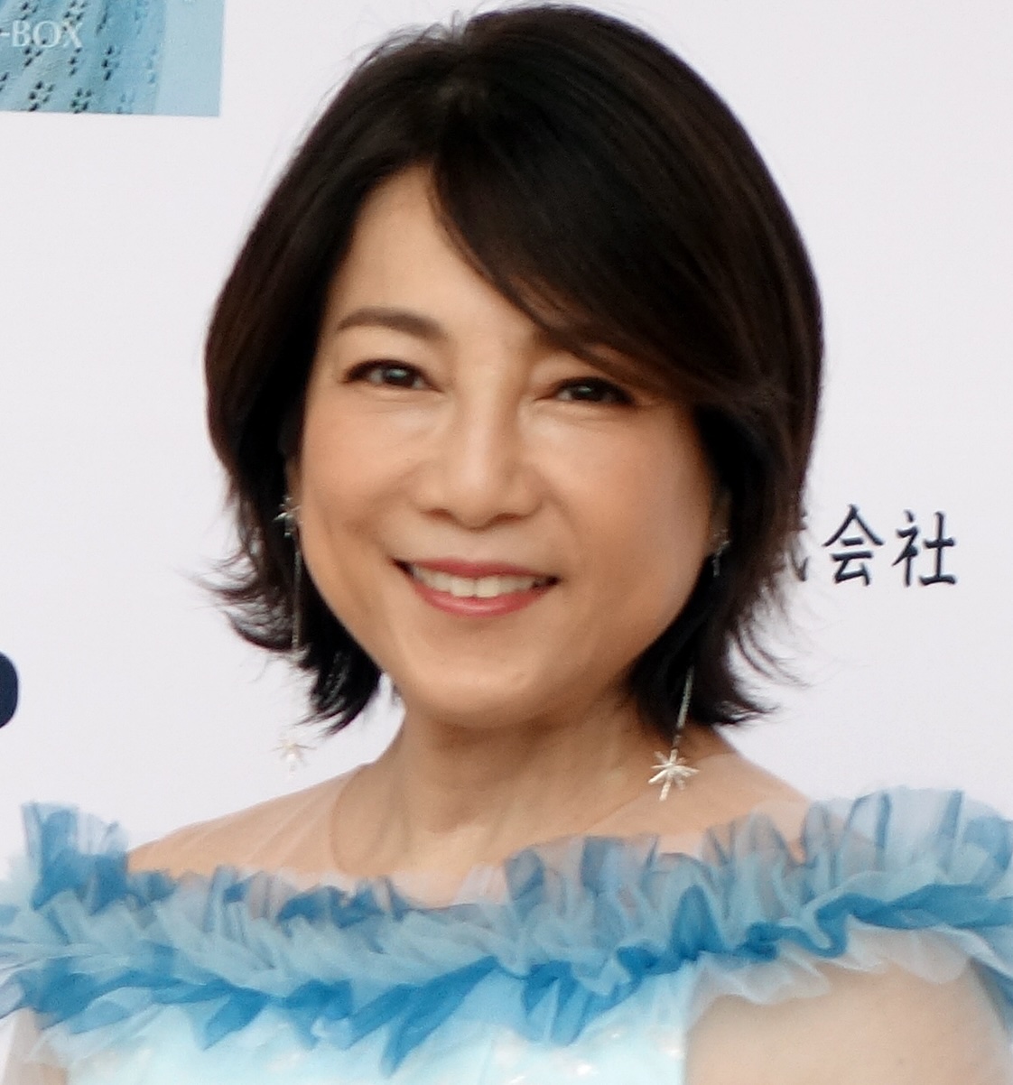 堀ちえみさん公式ブログに１万６０００件の中傷メッセージ！４７歳の女を逮捕！